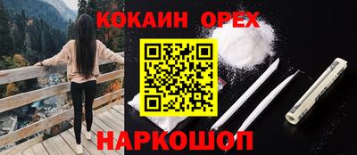 шишки Заволжье