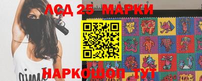 шишки Заволжье